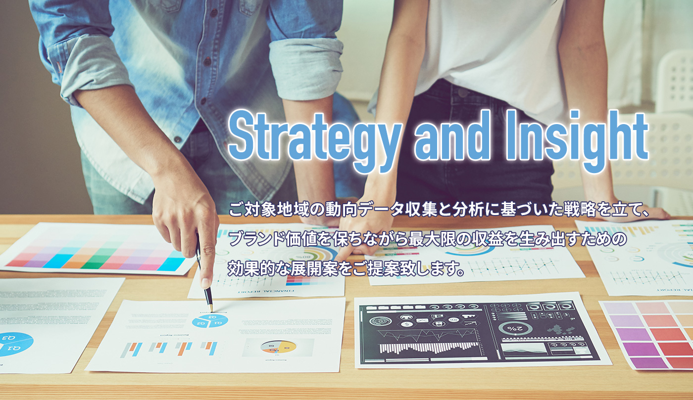 Strategy and Insight
